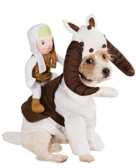 Star-Wars-Dog-Costumes-2