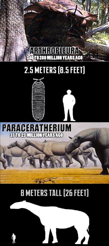worlds-largest-creatures