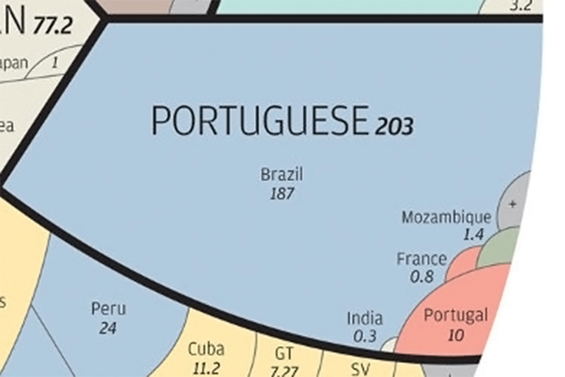 Portuguese_zoom_toad.com.br